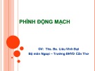 Bài giảng Phình động mạch - ThS. BS. Liêu Vĩnh Đạt