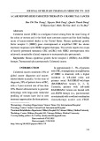 A case report: HER2 targeted therapy in colorectal cancer