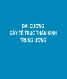 Bài giảng Đại cương gây tê trục thần kinh trung ương