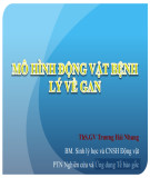 Bài giảng Mô hình động vật bệnh lý về gan - ThS.GV Trương Hải Nhung