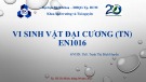 Bài giảng Vi sinh vật đại cương - ThS. Trịnh Thị Bích Huyền