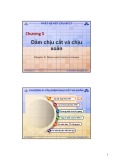Bài giảng Thiết kế kết cấu bê tông cốt thép: Chương 5 - ThS. Trần Tiến Đắc