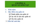 Bài giảng Sinh thái môi trường: Chương 4 - Dương Thị Bích Huệ
