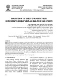 Evaluation of the effects of magnetic fields on the growth, development, and quality of bean sprouts