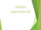 Bài giảng Pháp luật đại cương - Chương 5: Quan hệ pháp luật (19 slide)