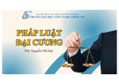 Bài giảng Pháp luật đại cương: Chương 7 - ThS. Nguyễn Viết Sơn