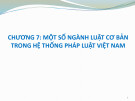 Bài giảng Pháp luật đại cương - Chương 7: Một số ngành luật cơ bản trong hệ thống pháp luật Việt Nam