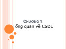 Bài giảng môn học Cơ sở dữ liệu - Chương 1: Tổng quan về CSDL
