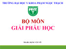 Bài giảng Giải phẫu thành ngực - ThS.BS. Đặng Văn Võ