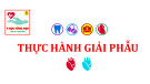 Bài giảng Thực hành giải phẫu