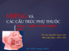 Bài giảng Miệng và các cấu trúc phụ thuộc - ThS. BS. Nguyễn Ngọc Ánh
