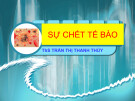 Bài giảng Sự chết tế bào - ThS. Trần Thị Thanh Thủy