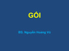 Bài giảng Gối - BS. Nguyễn Hoàng Vũ