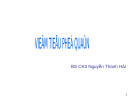 Bài giảng Viêm tiểu phế quản - BS. CKII Nguyễn Thanh Hải