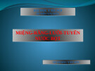 Bài giảng Miệng răng lưỡi tuyến nước bọt - BS Hoàng Văn Sơn