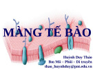 Bài giảng Màng tế bào - Huỳnh Duy Thảo