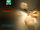 Bài giảng Viêm ruột thừa - ThS. BS. Hồ Đặng Đặng Khoa