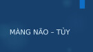 Bài giảng Màng não, tủy