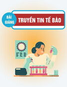 Bài giảng Truyền tin tế bào - TS.DS. Phạm Ngọc Khôi
