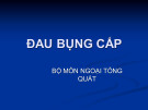 Bài giảng Đau bụng cấp (139 trang)