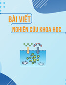 Nghiên cứu đặc tính dinh dưỡng cá ngựa xám (Tor tambroides Bleeker, 1854) ở sông Kỳ Lộ, tỉnh Phú Yên
