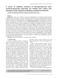 A survey on antibiotic resistance of Extended-Spectrum betalactamase-producing Escherichia coli isolated from urinary tract specimens at Hue University of Medicine and Pharmacy Hospital