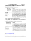 Insights into peer support in English language learning: EFL students' perspectives