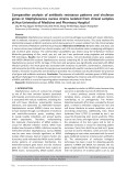 Comparative analysis of antibiotic resistance patterns and virulence genes in Staphylococcus aureus strains isolated from clinical samples at Hue University of Medicine and Pharmacy Hospital