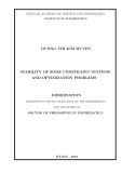Doctor of Philosophy in Mathematics: Stability of Some Constraint Systems and Optimization Problems