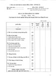 Mẫu Báo cáo tình hình tài chính (Mẫu số B01 - DNNKLT)