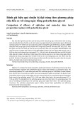 Đánh giá hiệu quả chuẩn bị đại tràng theo phương pháp chia liều so với cùng ngày bằng polyethylene glycol