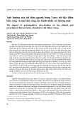 Ảnh hưởng của túi thừa quanh bóng Vater tới đặc điểm lâm sàng và cận lâm sàng của bệnh nhân sỏi đường mật
