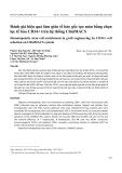 Đánh giá hiệu quả làm giàu tế bào gốc tạo máu bằng chọn lọc tế bào CD34+ trên hệ thống CliniMACS