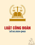 Luật số: 50/2024/QH15