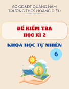 Đề thi học kì 2 môn KHTN lớp 6 năm 2024-2025 có đáp án - Trường THCS Hoàng Diệu, Núi Thành