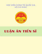 Luận án Tiến sĩ Pháp luật về quyền con người: Bảo đảm quyền được xét xử công bằng của bị cáo là người dưới 18 tuổi tại phiên tòa hình sự sơ thẩm cấp huyện ở Việt Nam
