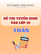 Đề thi tuyển sinh vào lớp 10 môn Toán năm 2025-2026 có đáp án - Sở GD&ĐT Vĩnh Phúc