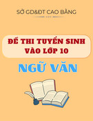 Đề thi tuyển sinh vào lớp 10 môn Ngữ văn năm 2025-2026 có đáp án - Sở GD&ĐT Cao Bằng