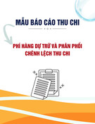 Mẫu Báo cáo thu chi về phí hàng dự trữ và tình hình phân phối chênh lệch thu chi