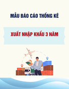 Mẫu Báo cáo tình hình, thống kê số liệu xuất, nhập khẩu 03 năm (Mẫu 02/DNUT)