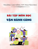 Bài tập môn học Vận hành cảng: Phân tích hệ thống E-PORT và quy trình liên quan đến hoạt động khai thác container tại Cảng Quốc tế Tân Cảng - Cái Mép