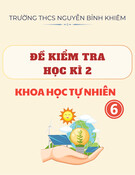 Đề thi học kì 2 môn Khoa học tự nhiên lớp 6 năm 2024-2025 - Trường THCS Nguyễn Bỉnh Khiêm, Long Biên