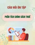 Câu hỏi ôn tập Phân tích chính sách thuế