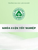 Khóa luận tốt nghiệp Công nghệ kỹ thuật ô tô: Xây dựng quy trình chẩn đoán, bảo dưỡng và sửa chữa hệ thống treo trên xe Toyota Land Cruiser Overview