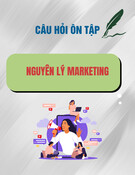 Câu hỏi ôn tập học phần Nguyên lý marketing