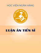 Luận án Tiến sĩ: Các nhân tố ảnh hưởng tới lựa chọn chế độ tỷ giá tại một số quốc gia đang phát triển tại châu Á