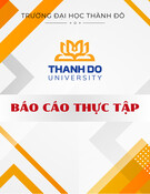 Báo cáo thực tập: Công ty cổ phần giải pháp công nghệ go