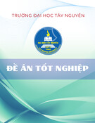 Đề án Thạc sĩ: Tỉ lệ nhiễm Candida spp. âm đạo và một số yếu tố liên quan ở phụ nữ tuổi sinh đẻ đến khám tại Bệnh viện Bình Định, năm 2024