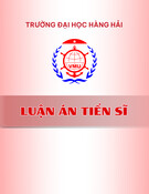 Tóm tắt luận án Tiến sĩ: Nghiên cứu ứng dụng trí tuệ nhân tạo và dữ liệu lớn trong quản lý giao thông hàng hải trên tuyến luồng Vũng Tàu - Sài Gòn