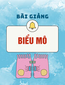 Bài giảng Biểu mô - PGS.TS.BS. Trần Công Toại